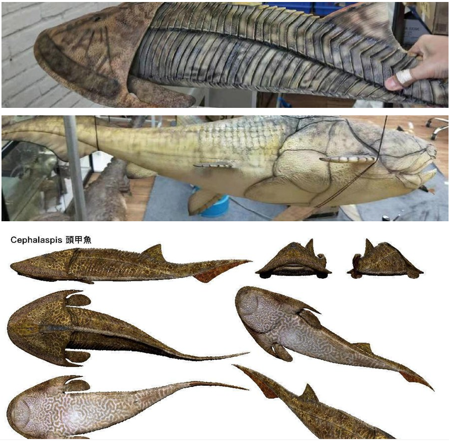 Early Permian Marine Fish