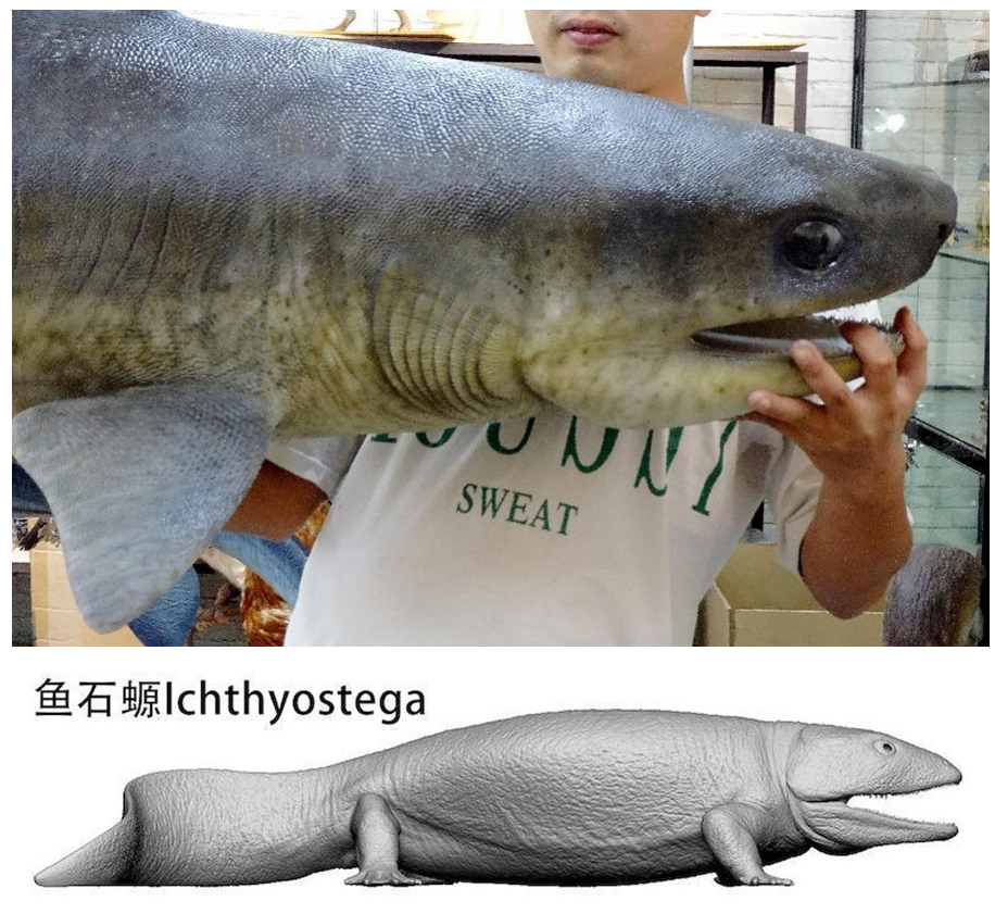 Bionic Sculptural Reconstructi