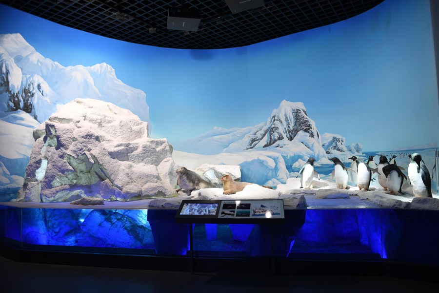 Zhejiang Museum of Natural His