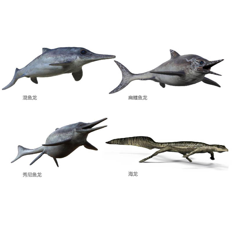 Restoration Models of Ichthyos