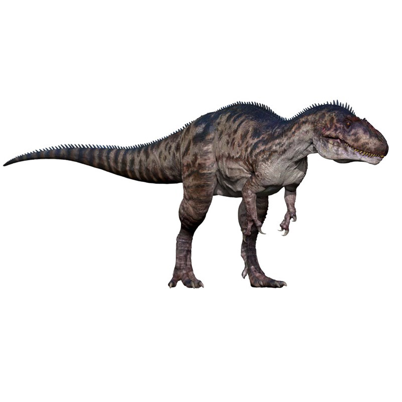 Sinraptor
