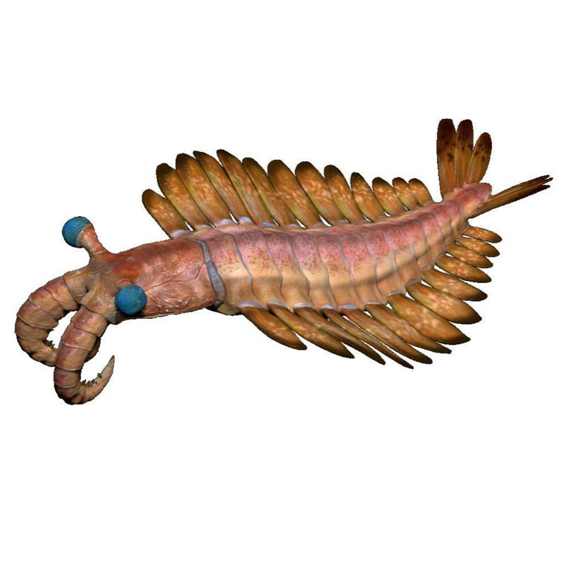 仿生雕塑模型复原类